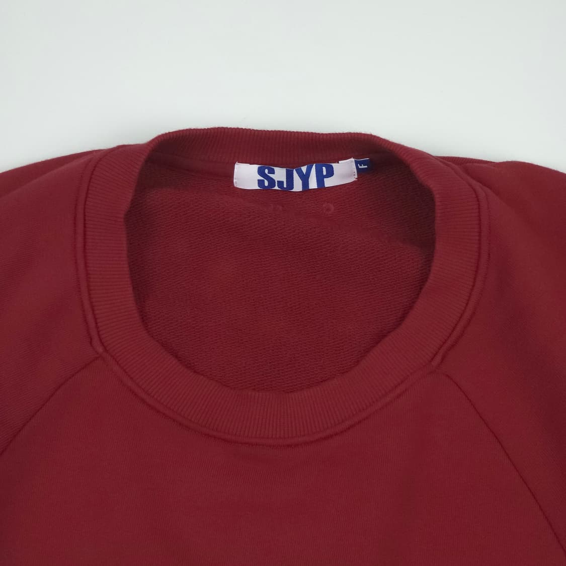 [Free] SJYP 에브리데이 다이노 코튼 맨투맨 상품이미지4