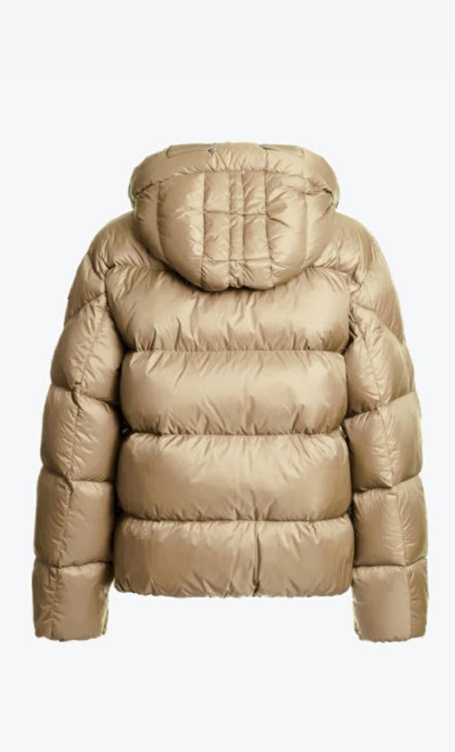 파라점퍼스 오리털패딩 팝니다 (m사이즈) 상품이미지3