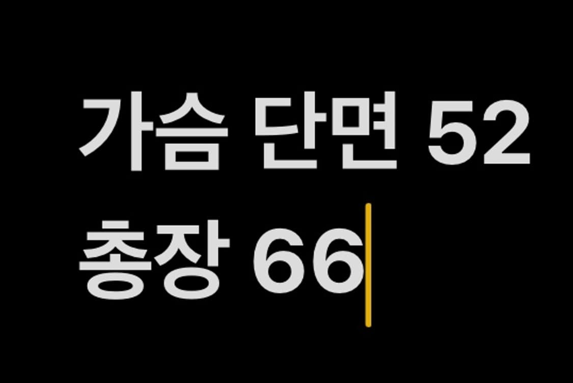 [ 정품/L,95 ] 노스페이스 하이벤트 바람막이 자켓 b16 상품이미지10