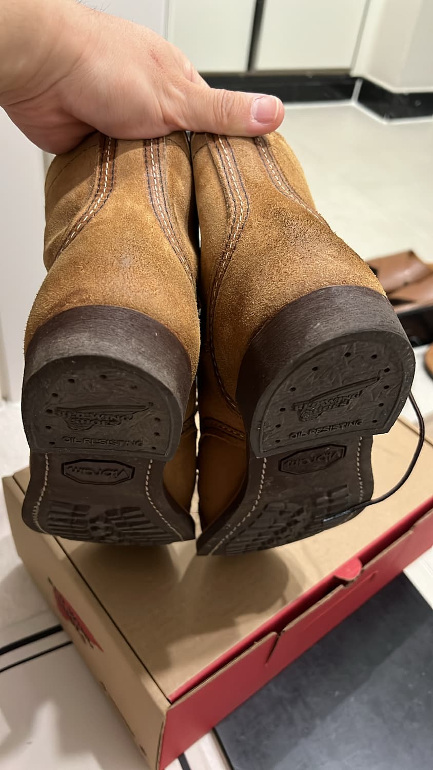 260 레드윙 8083 상품이미지5