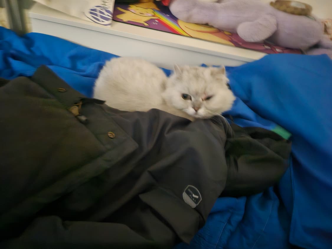 준지 가죽 베스트 구해요. 상품이미지1