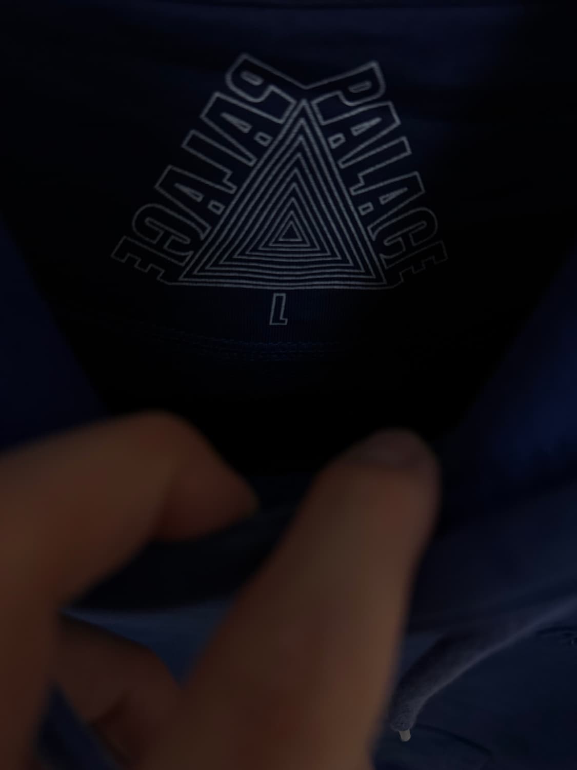 팔라스 [정품] 양각 후드티 (시세 50만) 스웻셔츠 L(100ㅡ105) 상품이미지6