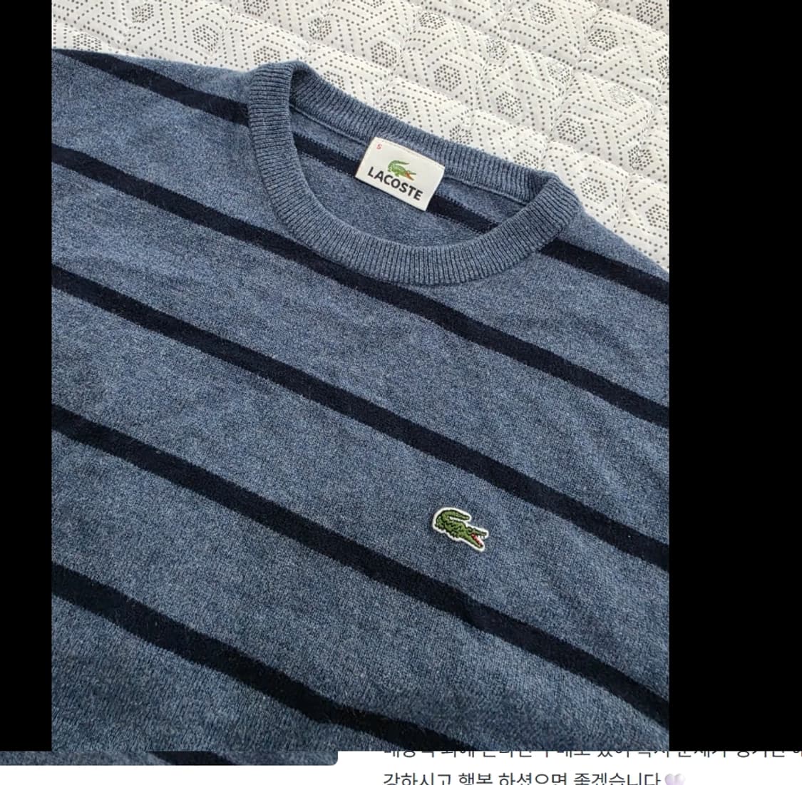 라코스테 스트라이프 니트 95 상품이미지2