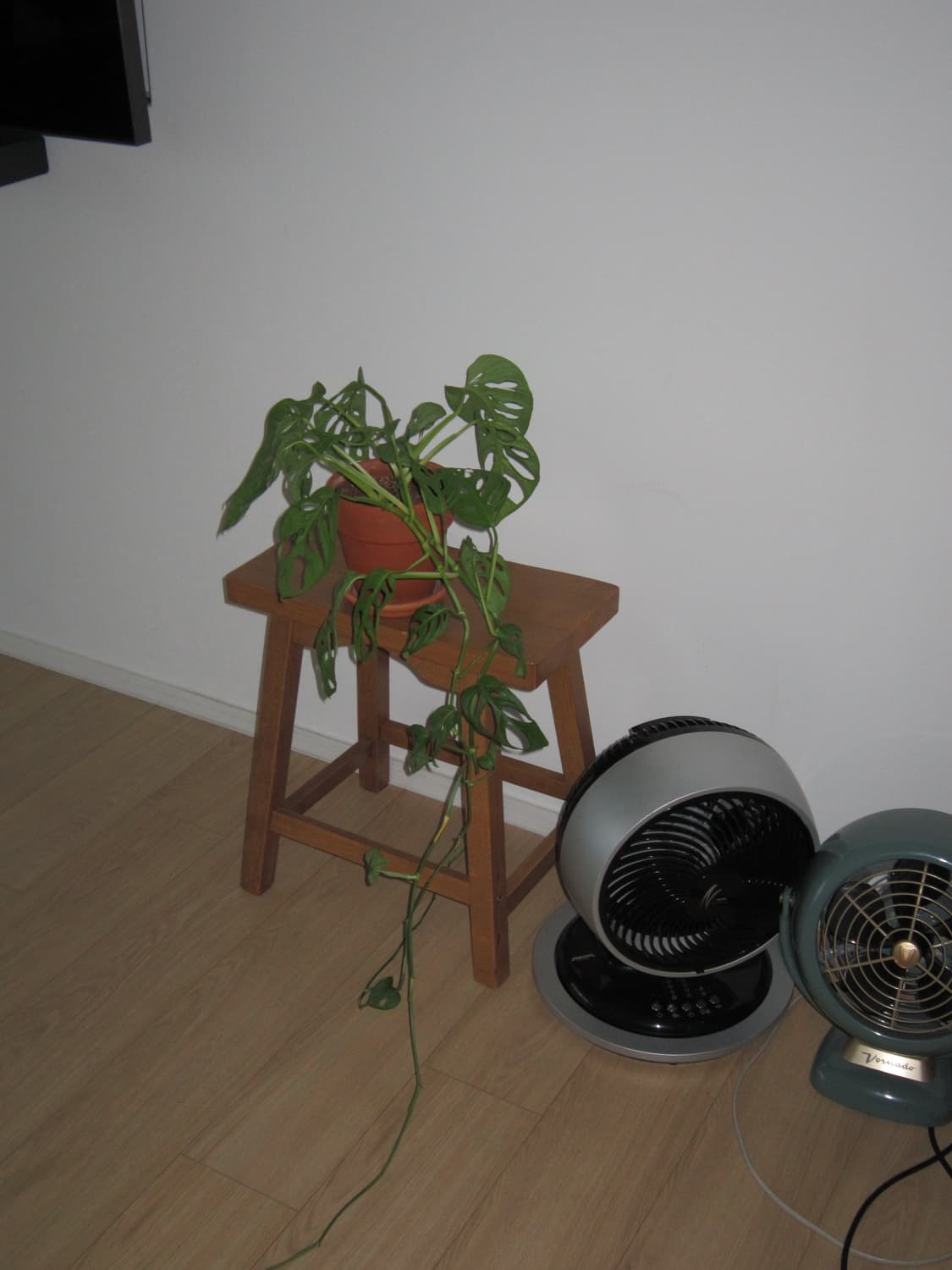 [인물작례O] 캐논 Canon Powershot A3200 IS 상품이미지8