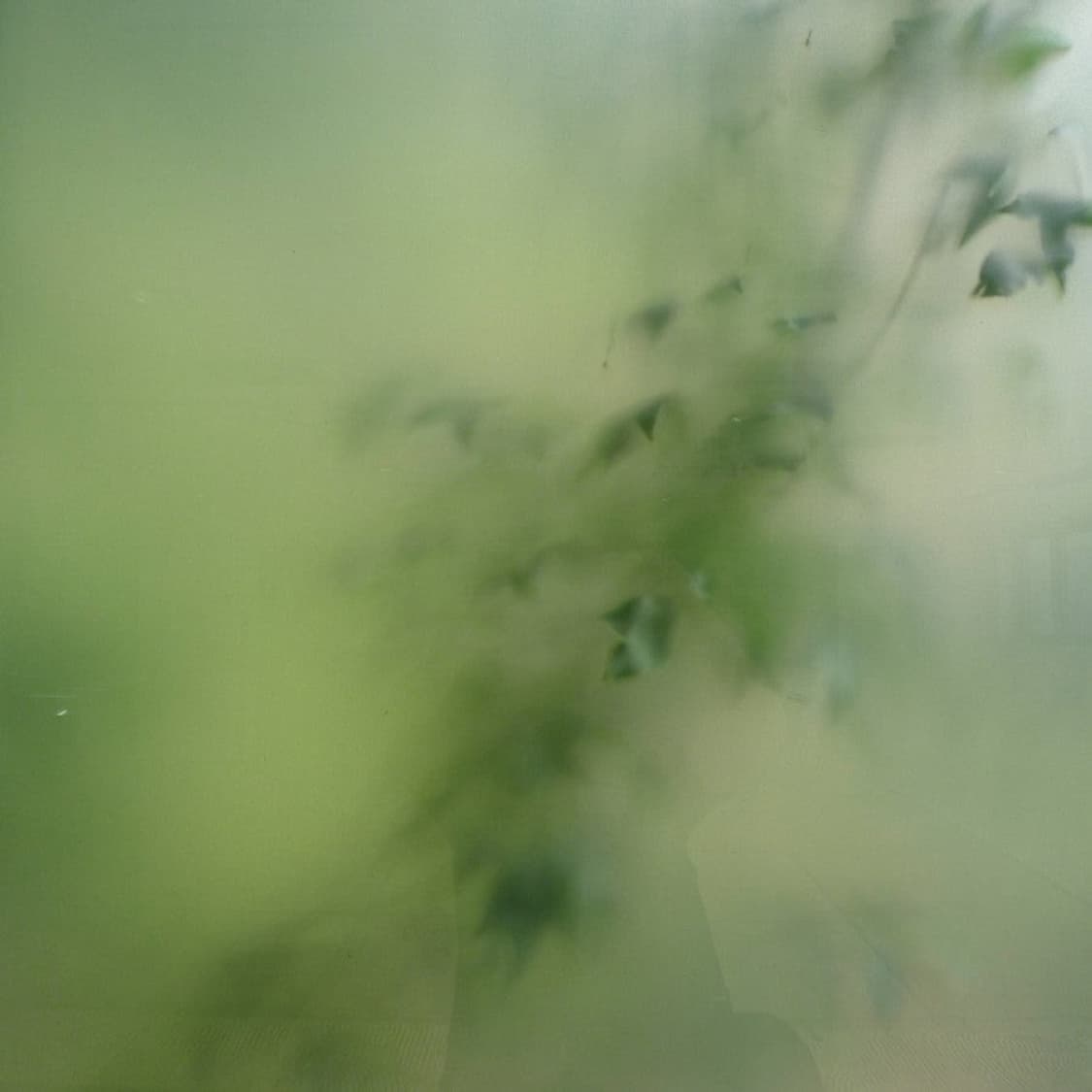 Leica d-lux5 한정판 스페셜 티타늄 에디션 상품이미지5