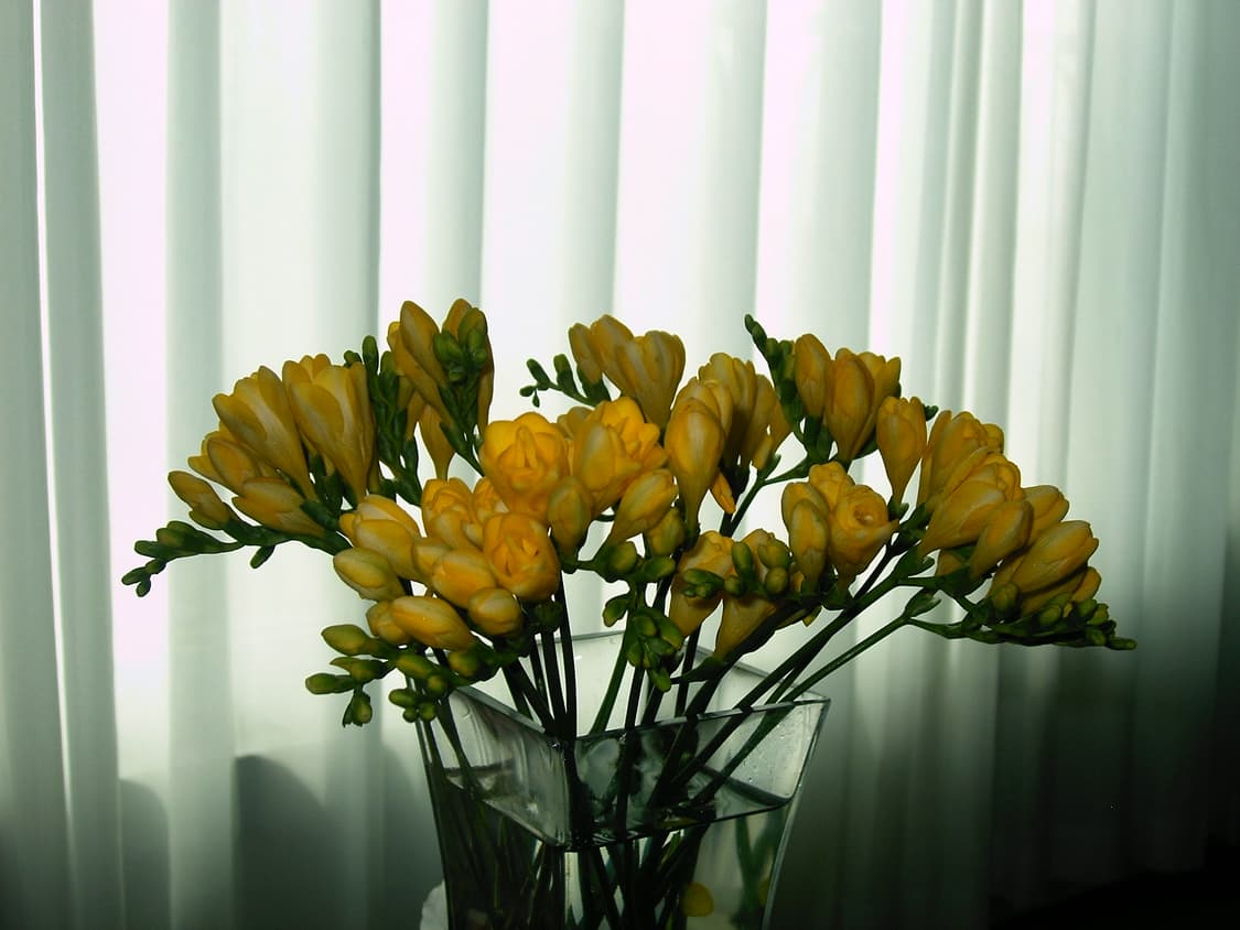 작례_ 비비타 Vivitar ViviCam 3826 상품이미지10