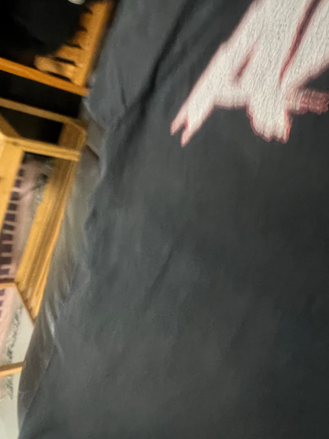 Usa WWE 어썸 티셔츠 블랙 데미지 L 상품이미지5