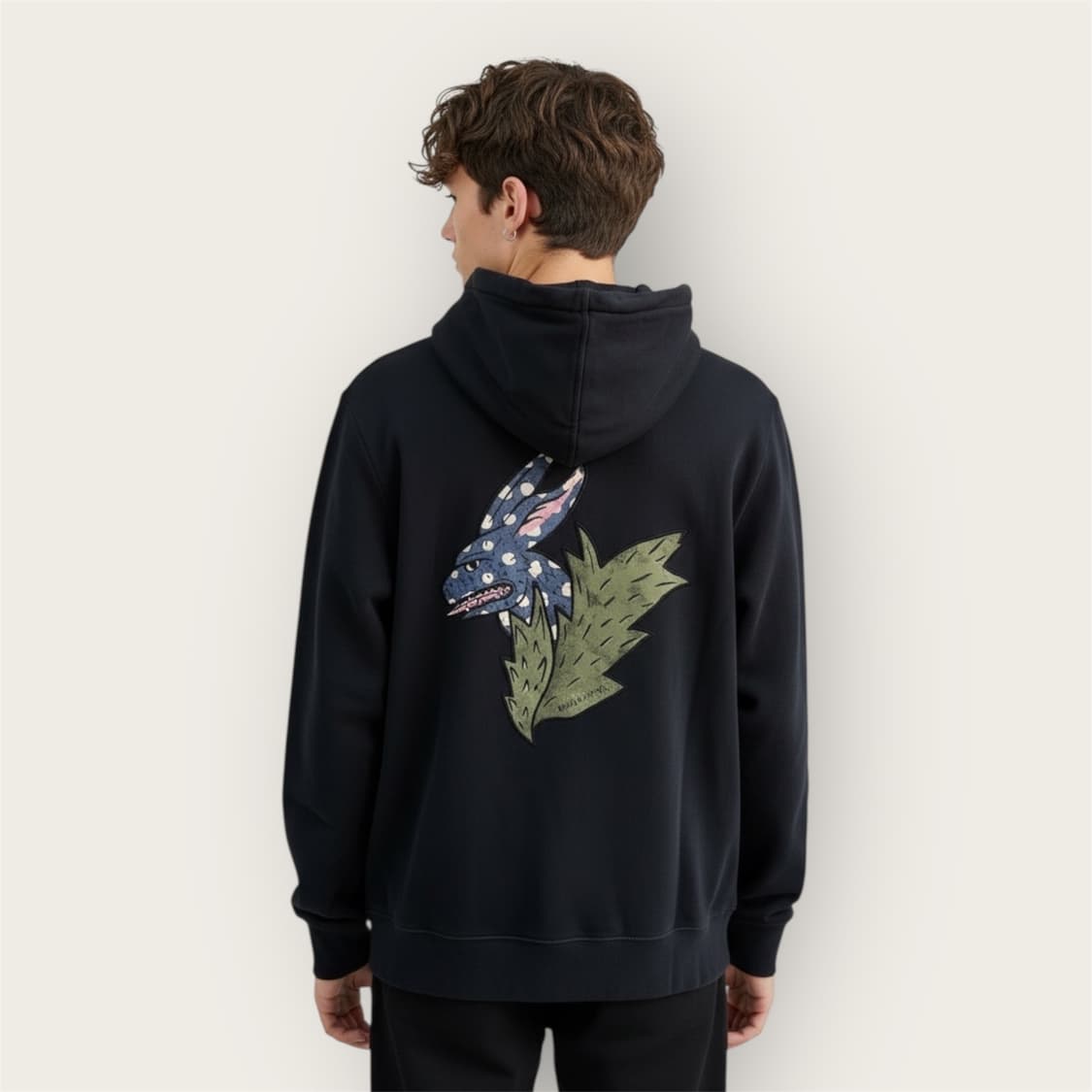 XL/ 버버리 포켓몬 드래곤 자수 후드집업 상품이미지1