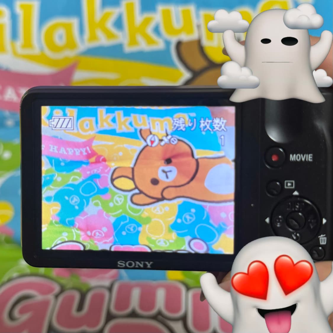 sony 소니 DSC-HX5 디카 상품이미지5