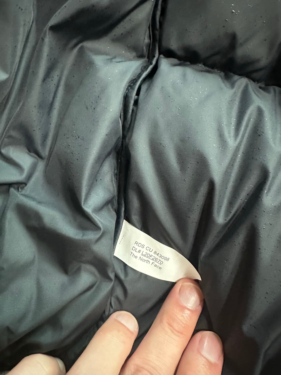 슈노 눕시 라지 L 판매합니다. 상품이미지6