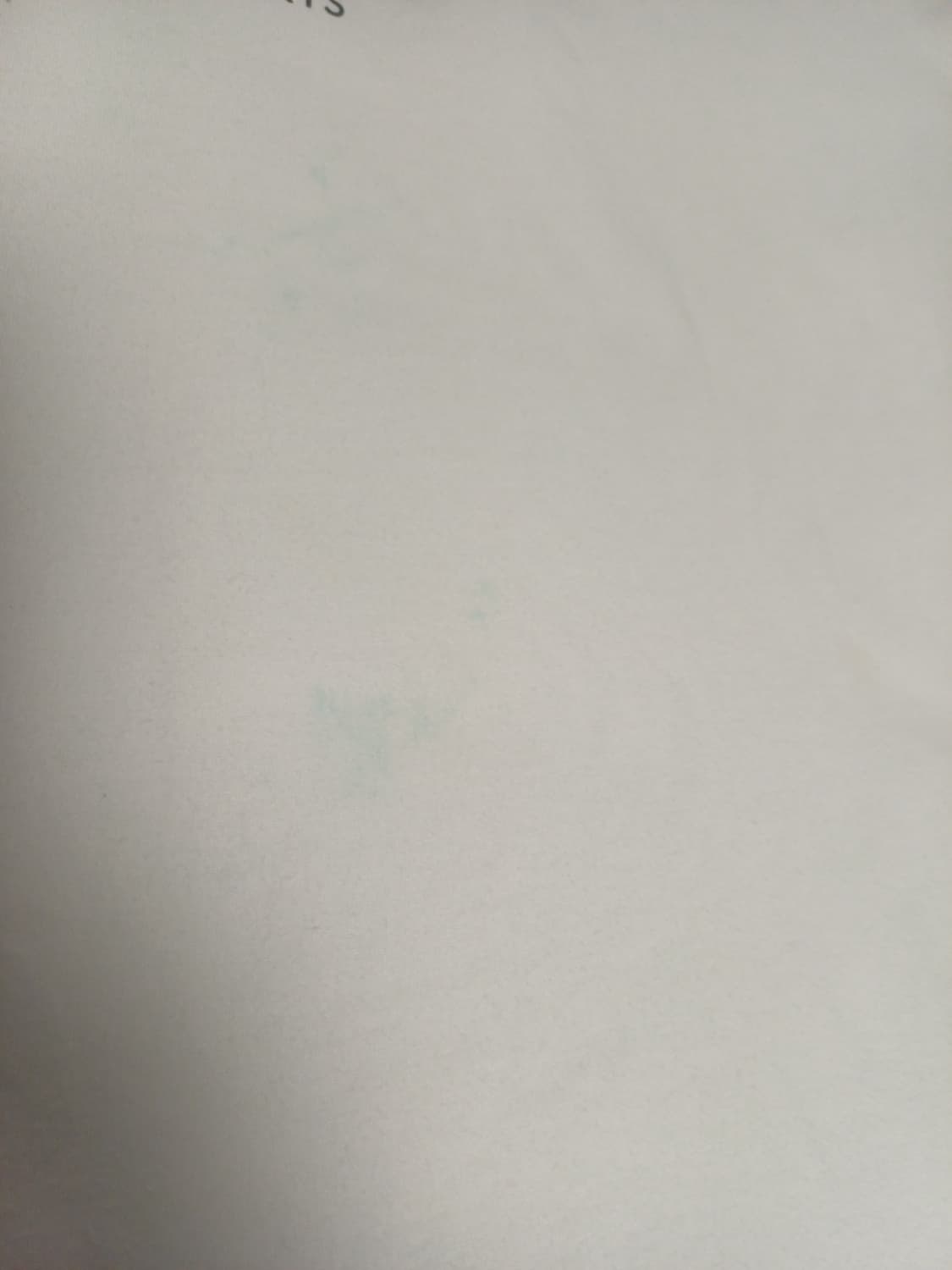 [S] 메종키츠네 클래식 폭스 스탬프 반팔 티셔츠 화이트/남여공용 상품이미지7