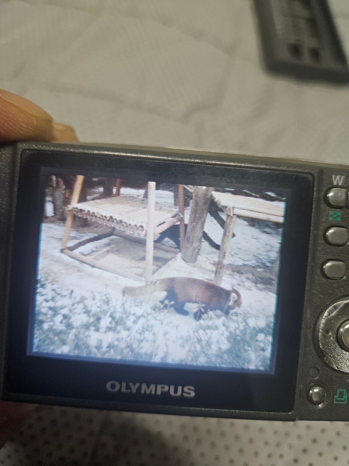 올림푸스 뮤 디지털600 레트로 디카 빈티지 카메라 상품이미지6