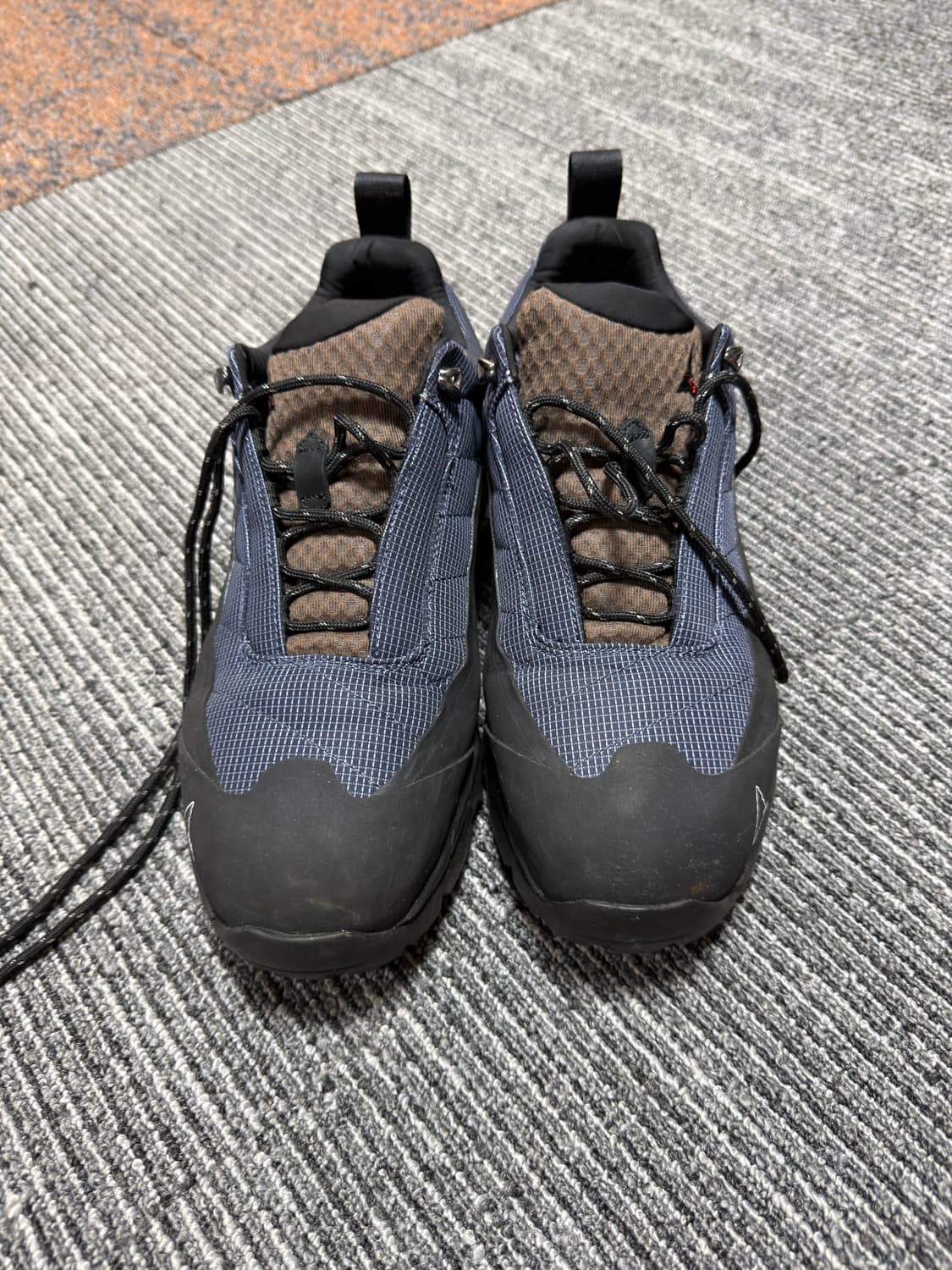 로아 카타리나 43  상품이미지2