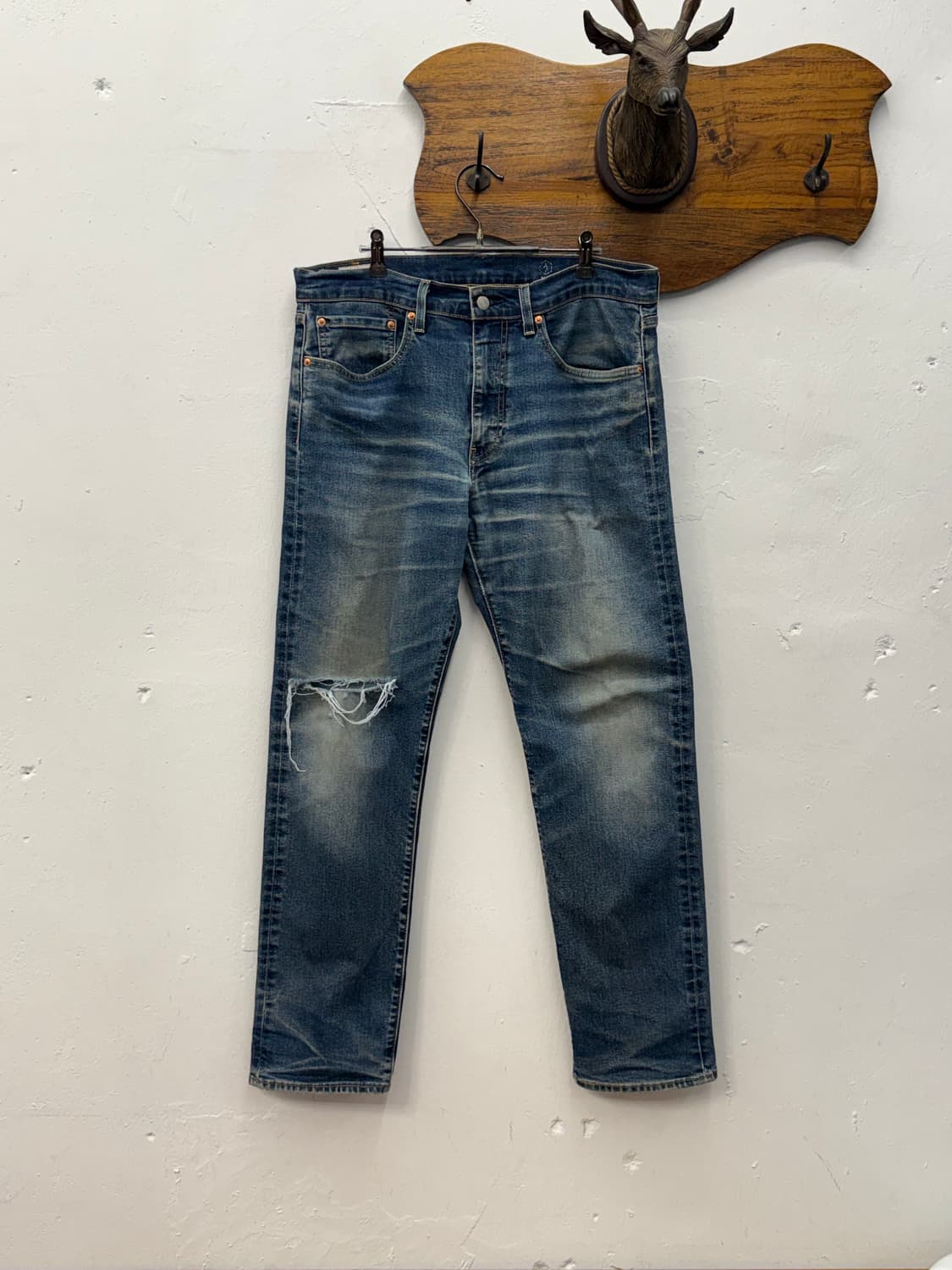 LVC 빅E Lot 502 [36] 상품이미지6