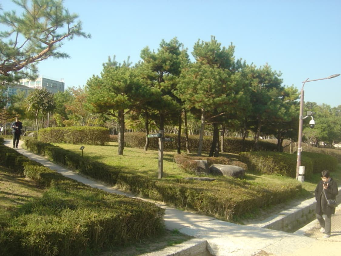 (작례O) cybershot dsc-p10 상품이미지4