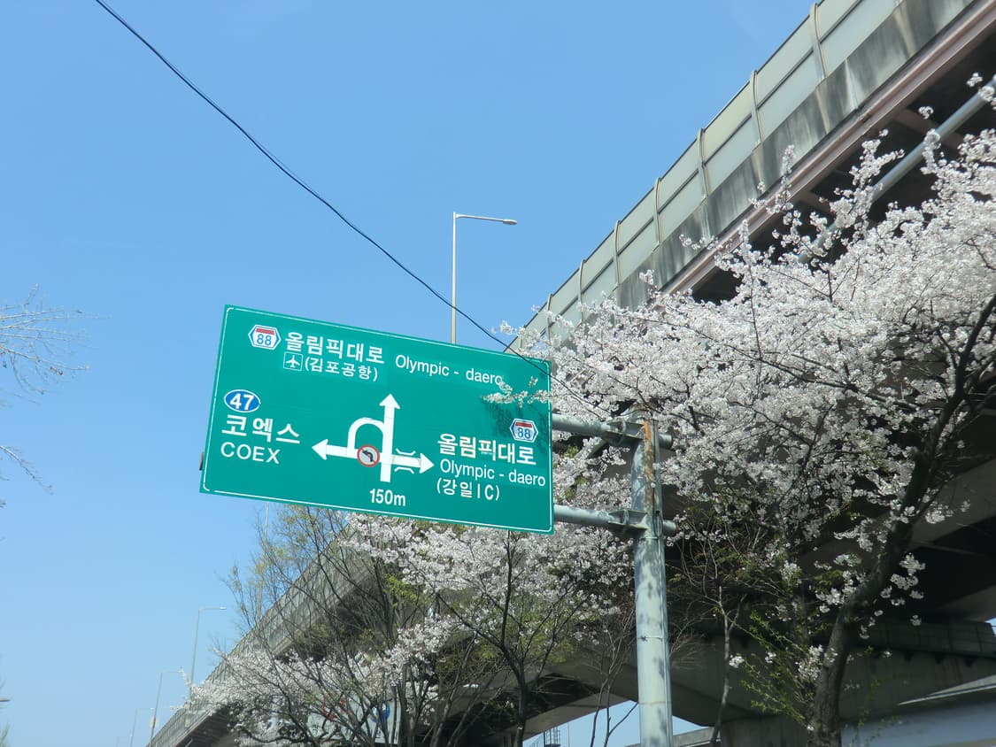 카시오 엑슬림 H15 상품이미지6