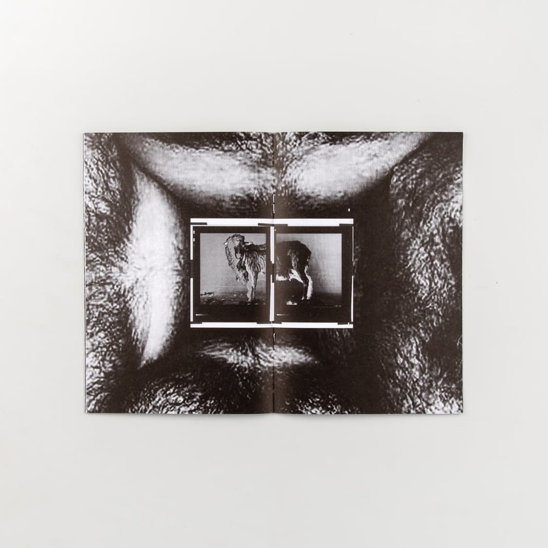 Helmut Lang 'Burry' Zine 상품이미지3