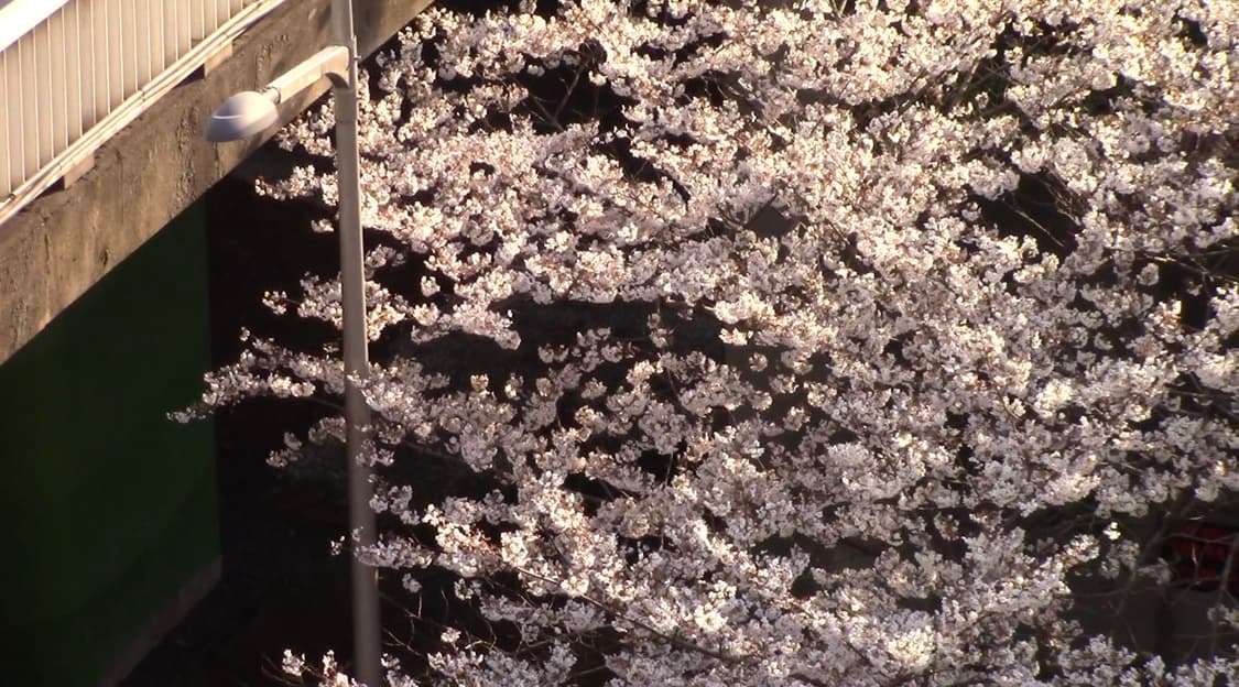 캐논 빅시아 hf r800 캠코더 상품이미지7