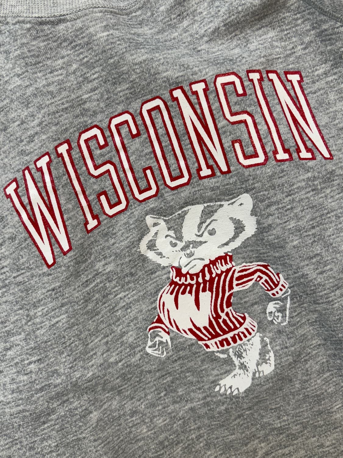 [L] 80s 챔피온 리버스위브 스웻셔츠 WISCONSIN Badger 상품이미지2