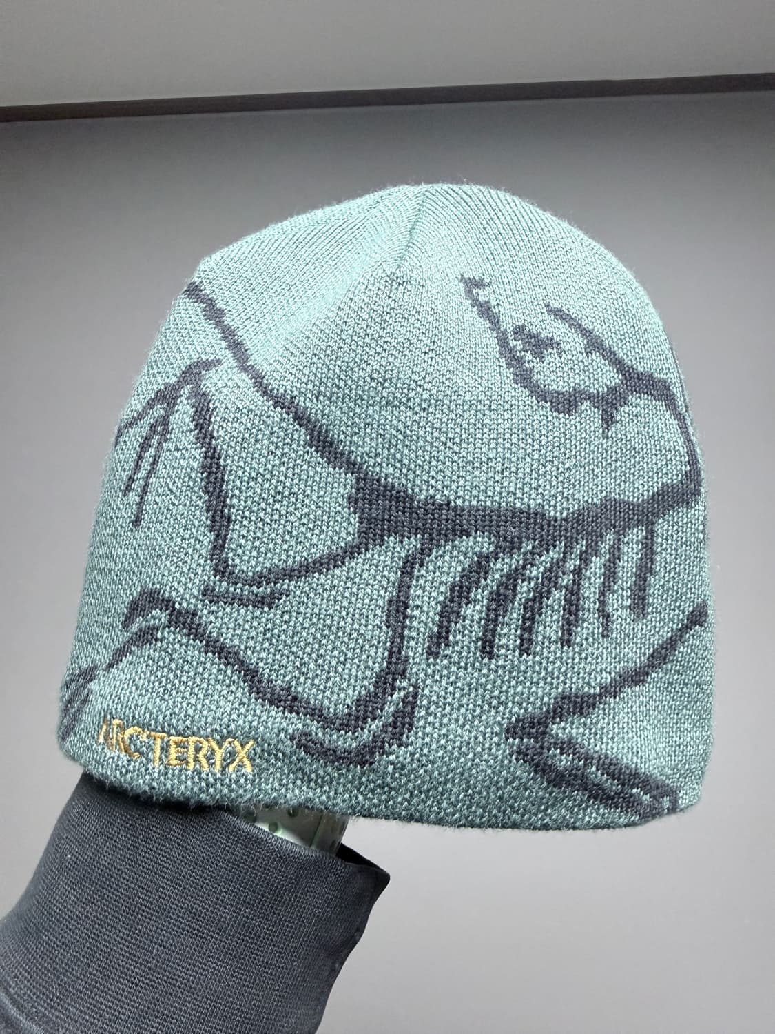 아크테릭스 비니 (버드 헤드 토크 다크 매직) 상품이미지1