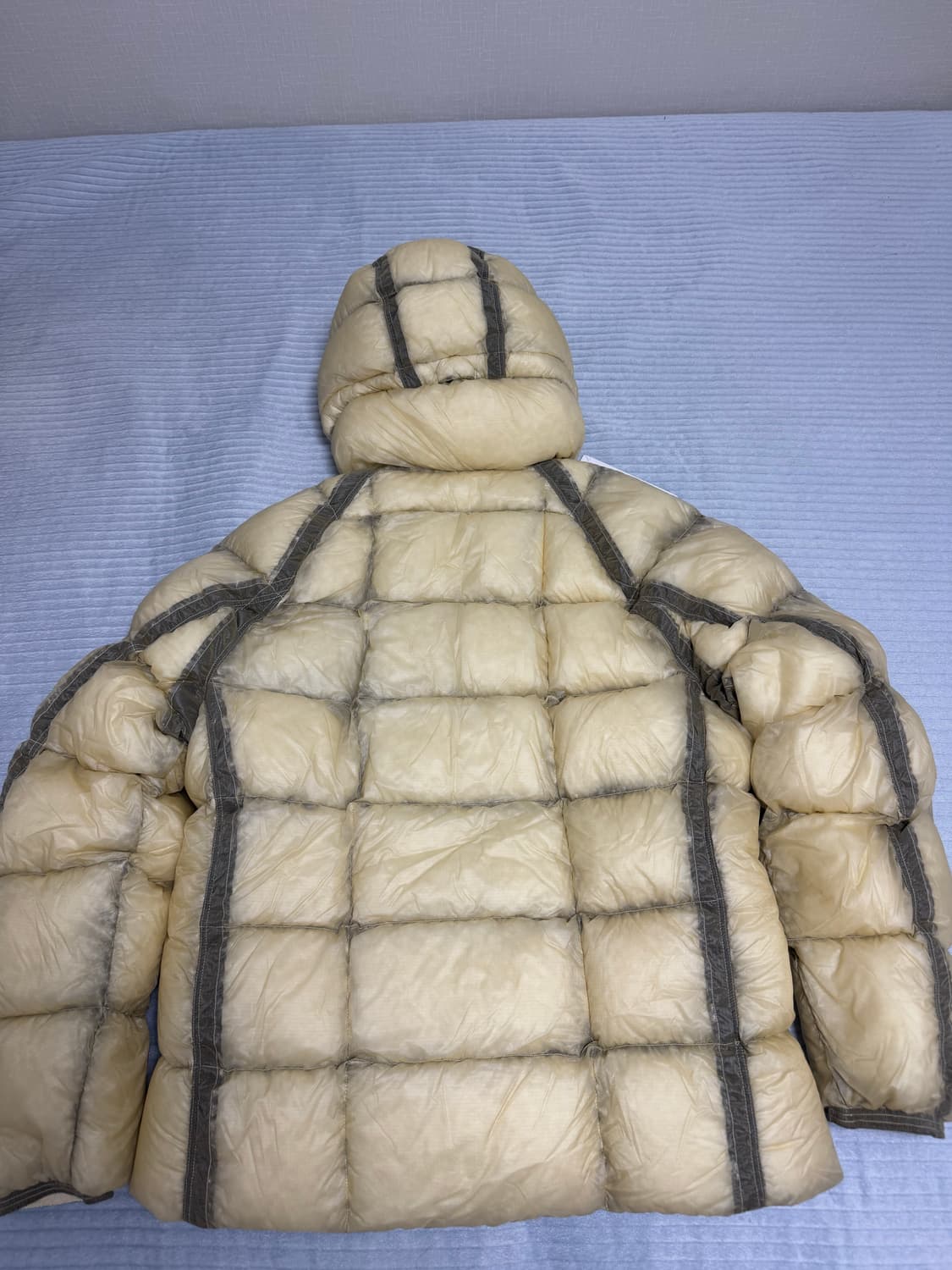 25FW CP컴퍼니 디디쉘 피스타치오 쉘 베이지/XL 상품이미지2