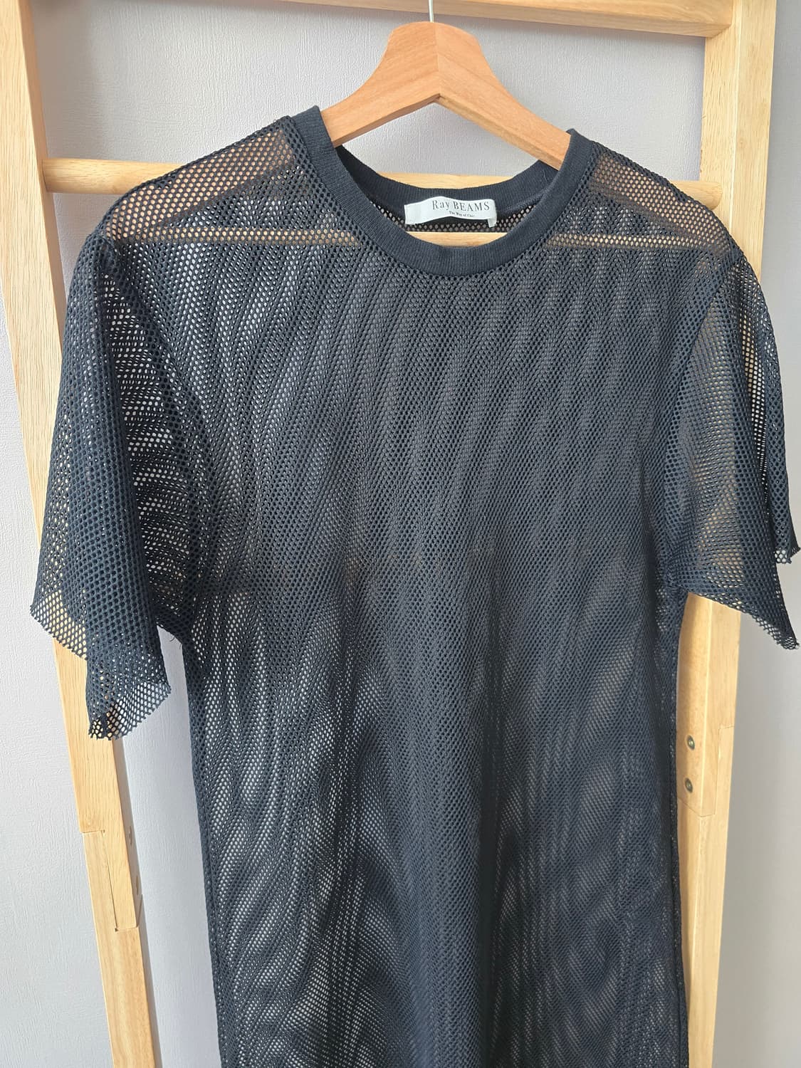 Ray BEAMS Mesh Layered Dress 상품이미지3