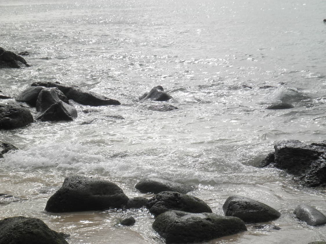 올림푸스 뮤 5010 디카 (작례 O) 상품이미지8