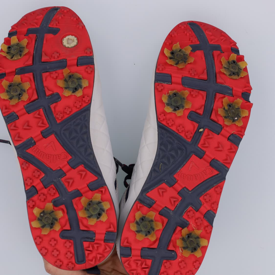 24.5 캘러웨이 골프신발 운동화 0213H1 상품이미지6