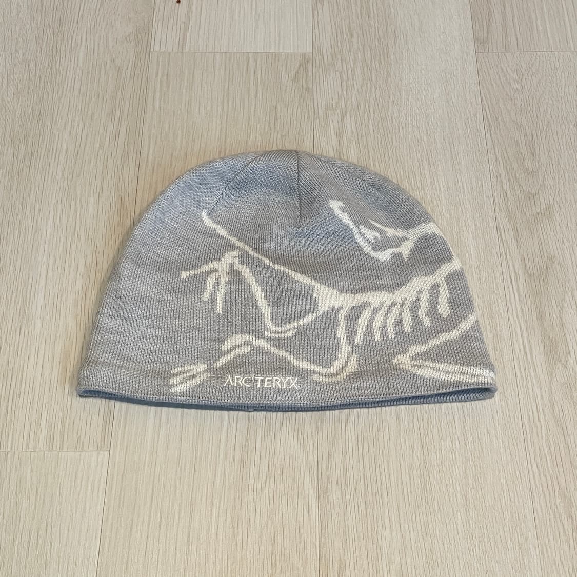 아크테릭스 25ss 버드 토크 비니 상품이미지1