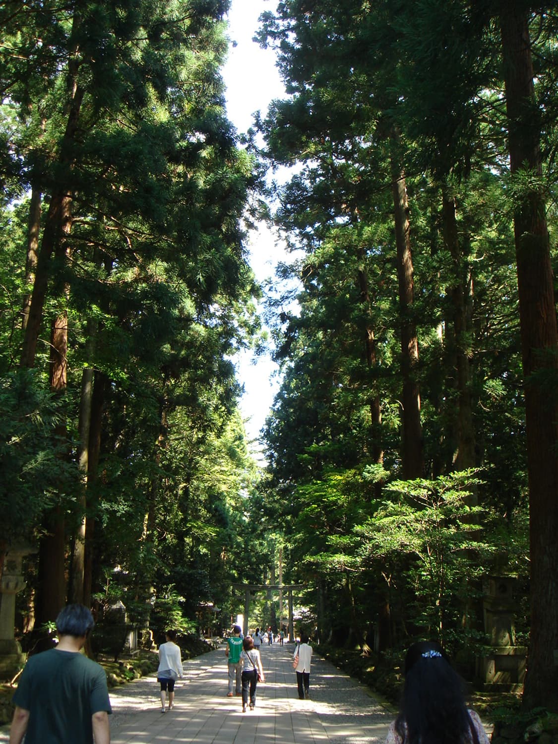 작례) 소니 사이버샷 T9 빈티지 디카 상품이미지2