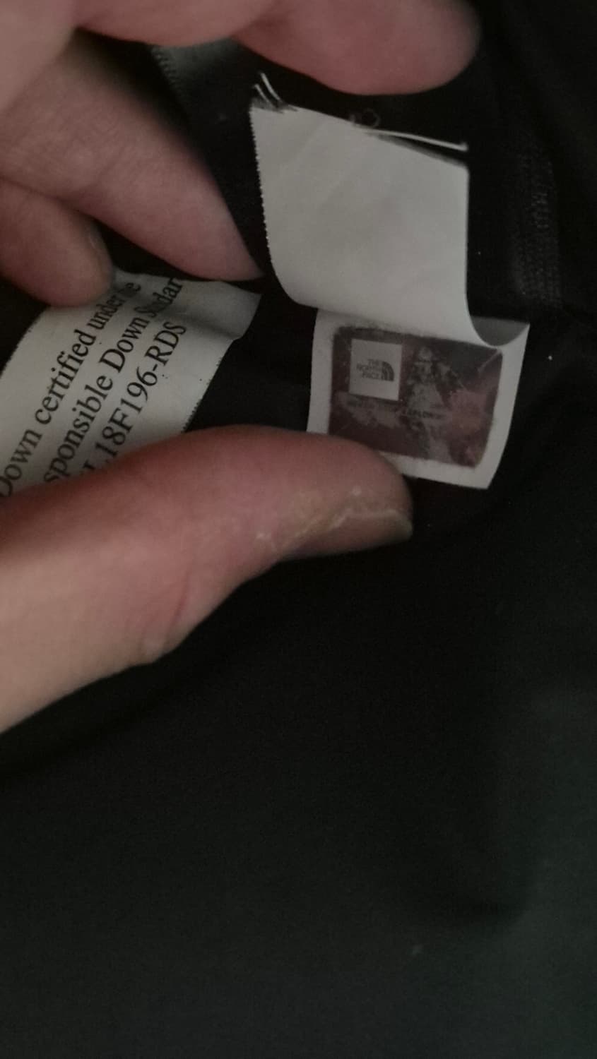 슈프림 노스페이스 페이퍼 눕시 L 상품이미지3