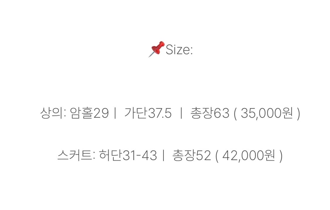 지구샵 지구네빈티지 장미 블라우스 쉬폰 샤 스커트 코디 세트 모리 페어리 상품이미지5