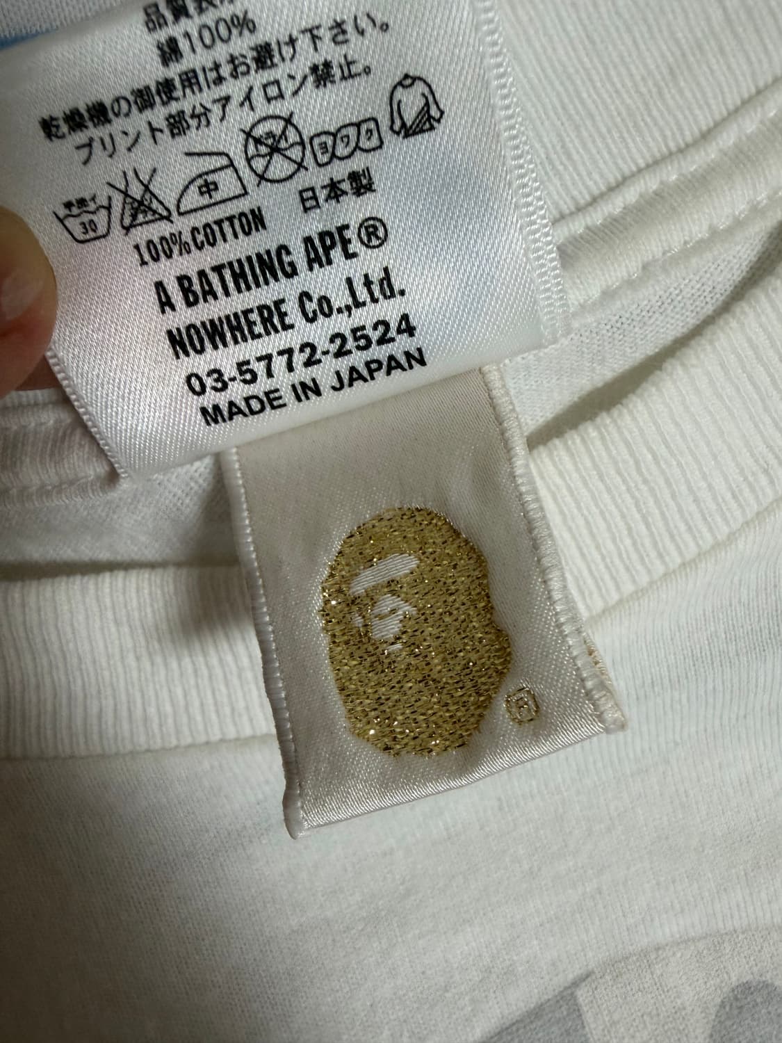 베이프 여자 반팔  상품이미지2