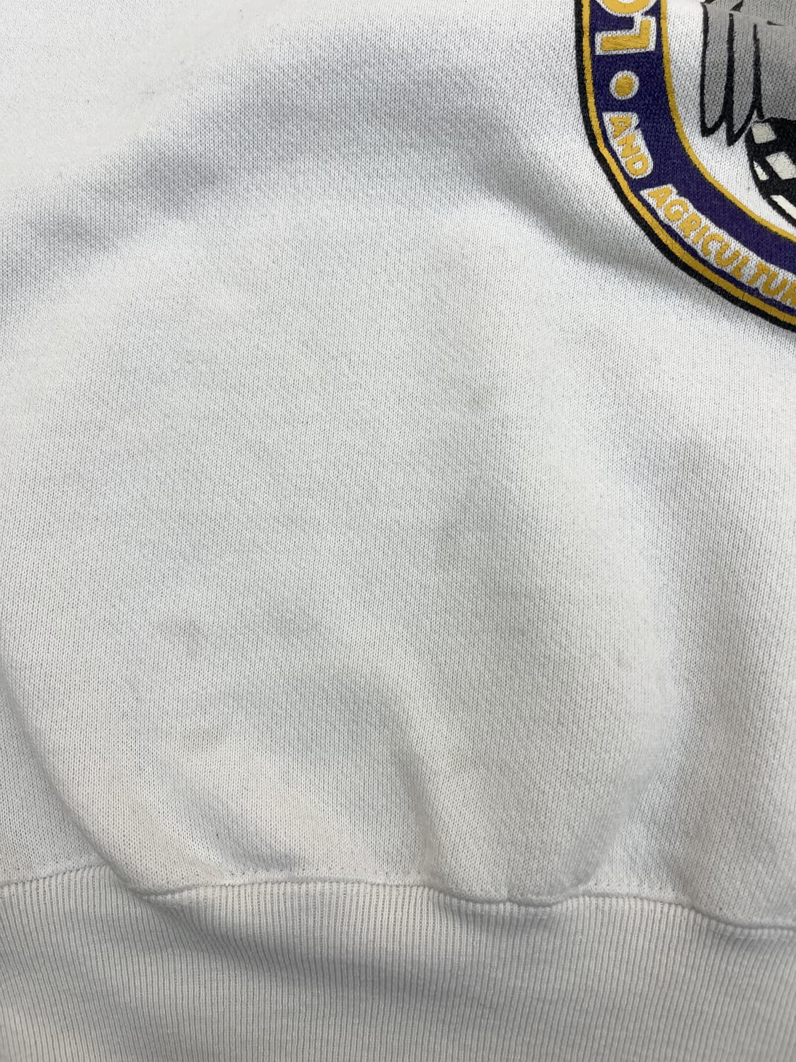 Galt Sand 90s U.S.A LSU 컬리지 스웻셔츠 상품이미지7