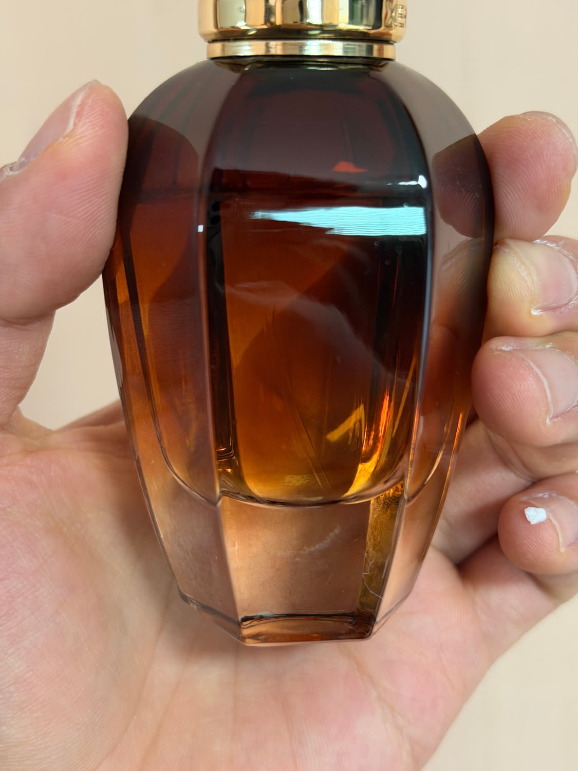 [국문택 정품] 제르조프 알렉산드리아2 50ml 상품이미지3