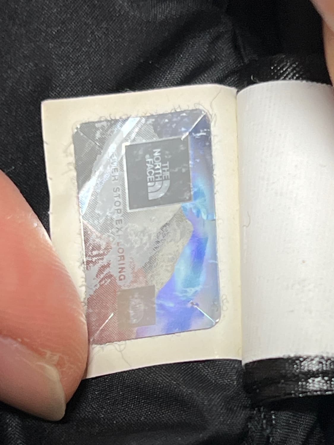 [L] 슈프림 노스페이스 눕시 낙엽 상품이미지9