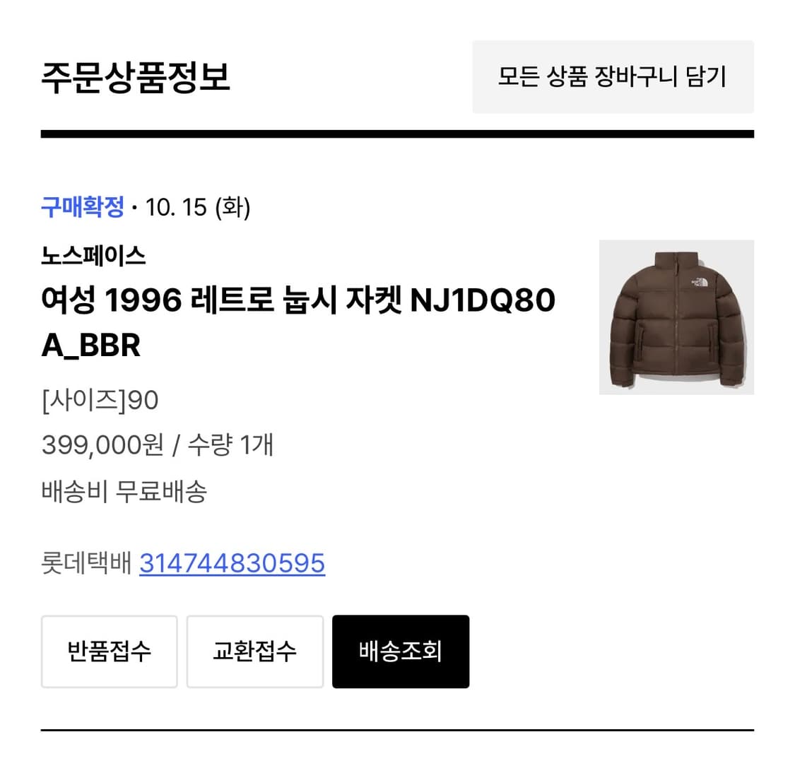 노스페이스 패딩 1996 레트로 눕시 자켓 NJ1DQ80ALBBR 상품이미지6