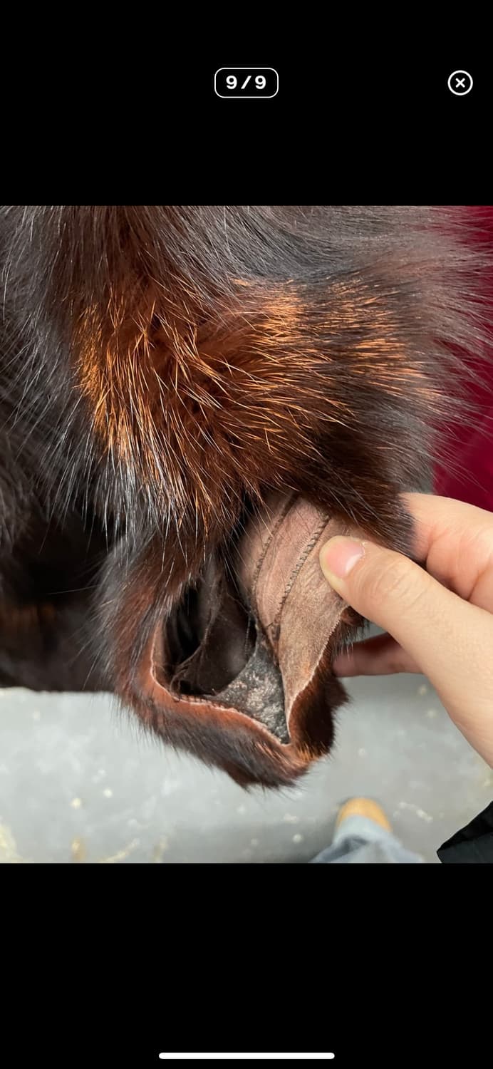 사가폭스 혼합 브라운 퍼 자켓 A3442 상품이미지8