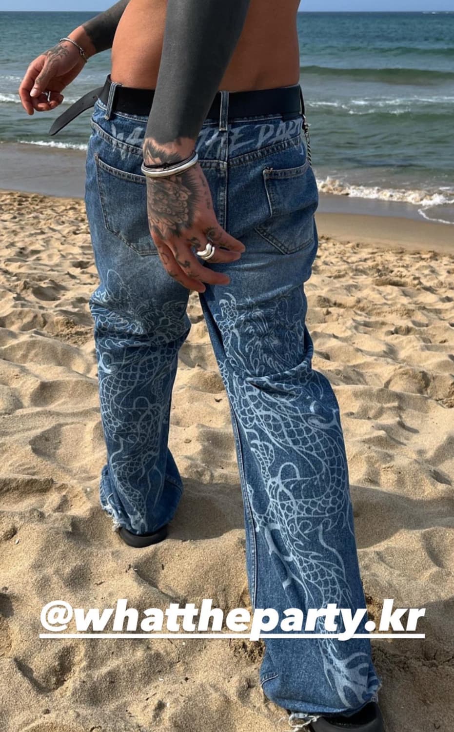 What the party dragon denim 상품이미지1