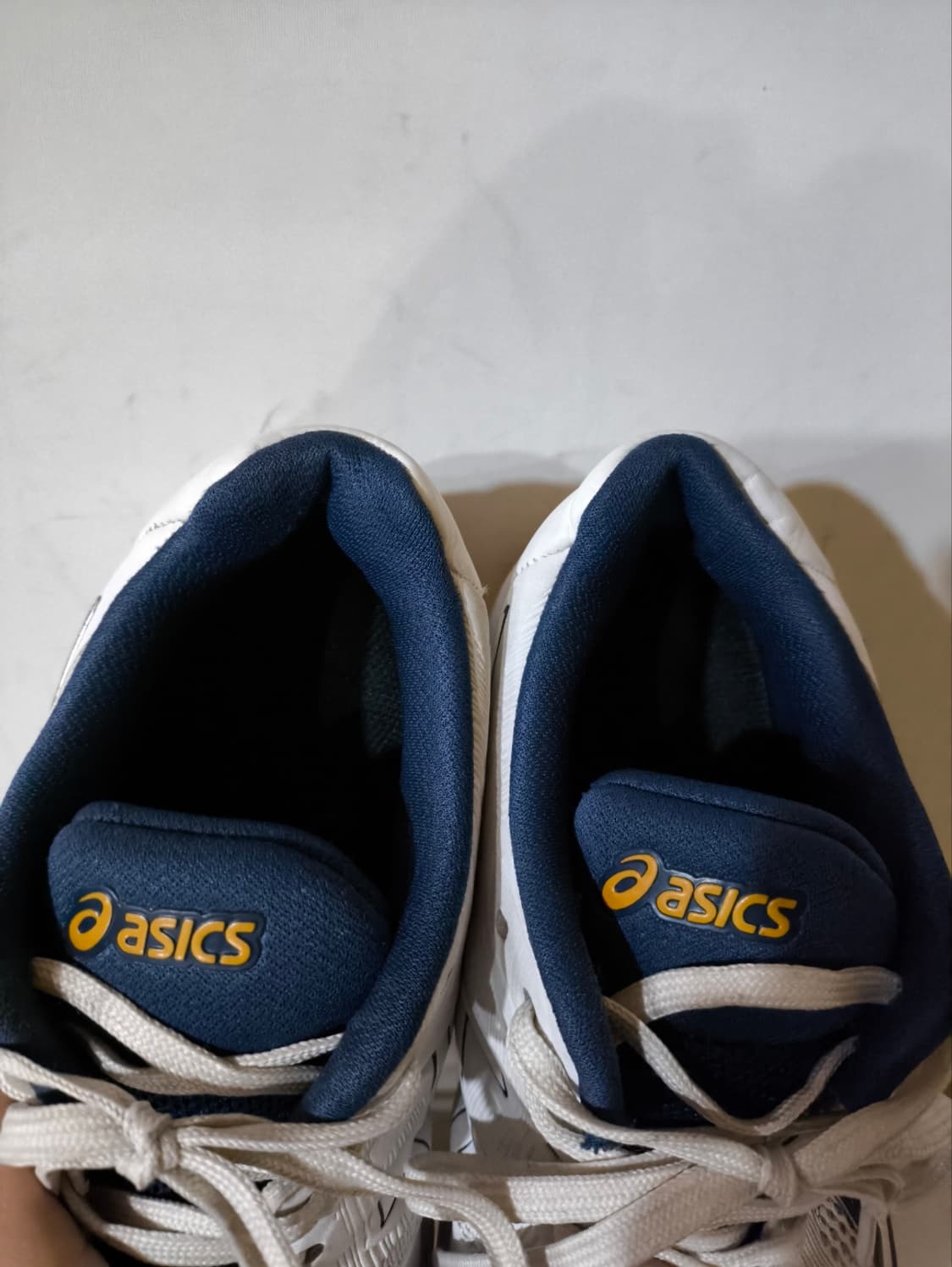 265mm 아식스 스카이 엘리트 FF 인도어화 상품이미지6