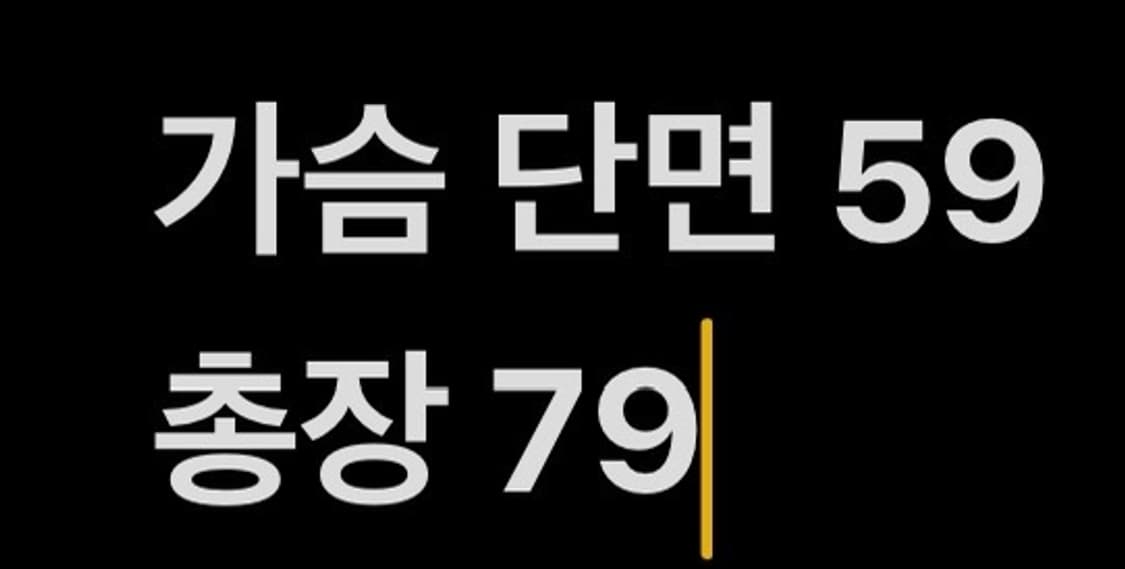 [정품/95] 입생로랑 빈티지 양가죽 자켓 b17 상품이미지10