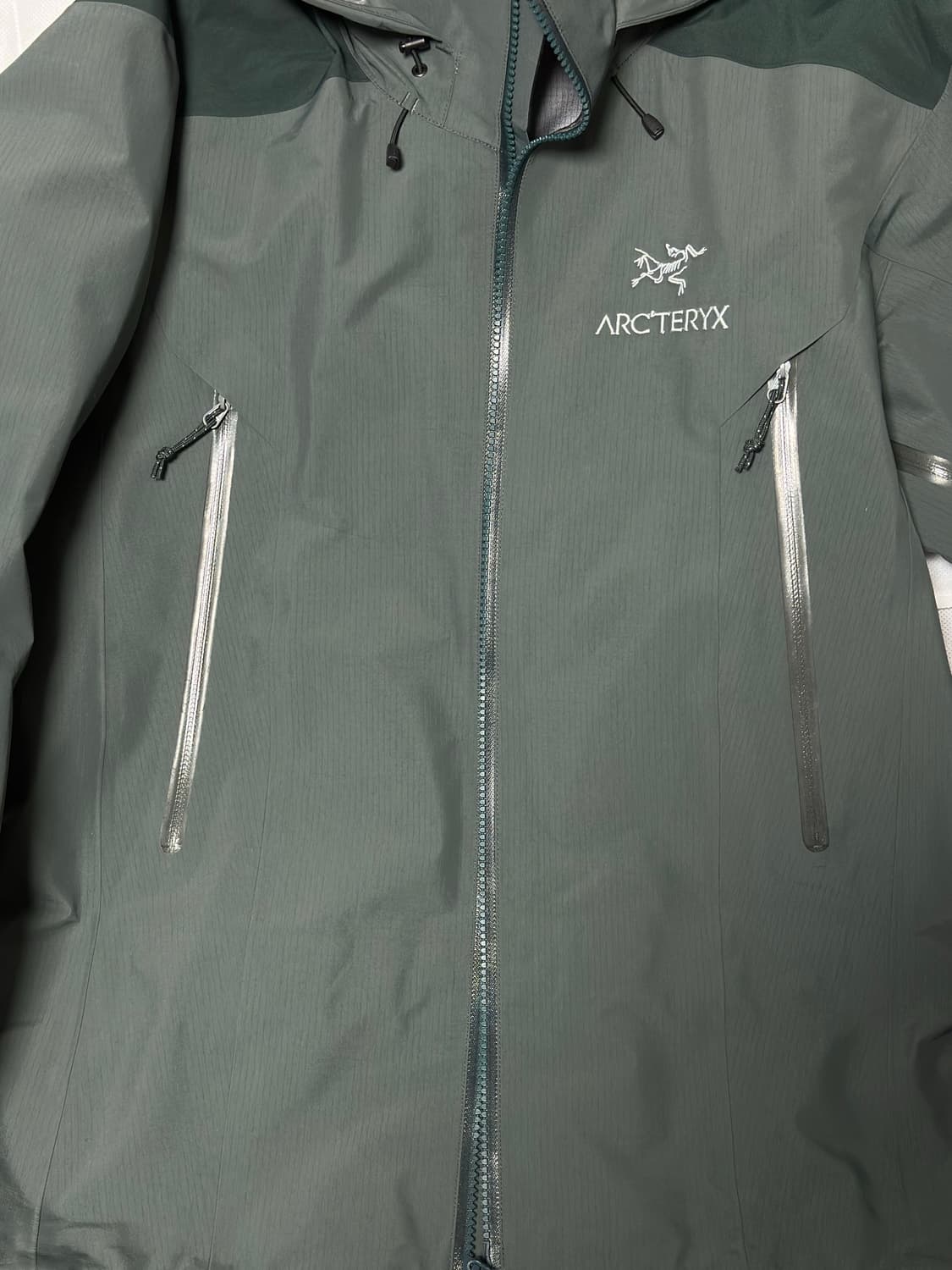 S) 아크테릭스 베타 ar 판매합니다 상품이미지5