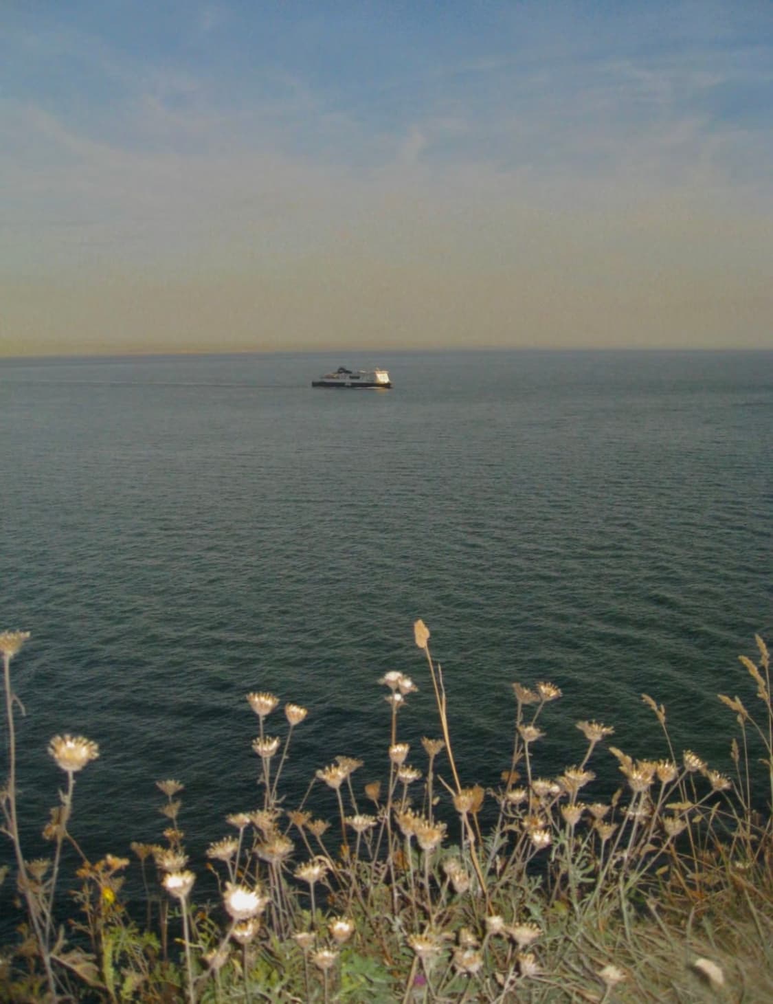 A급)캐논 익서스 950 CANON IXUS 950 빈티지 디카 상품이미지4