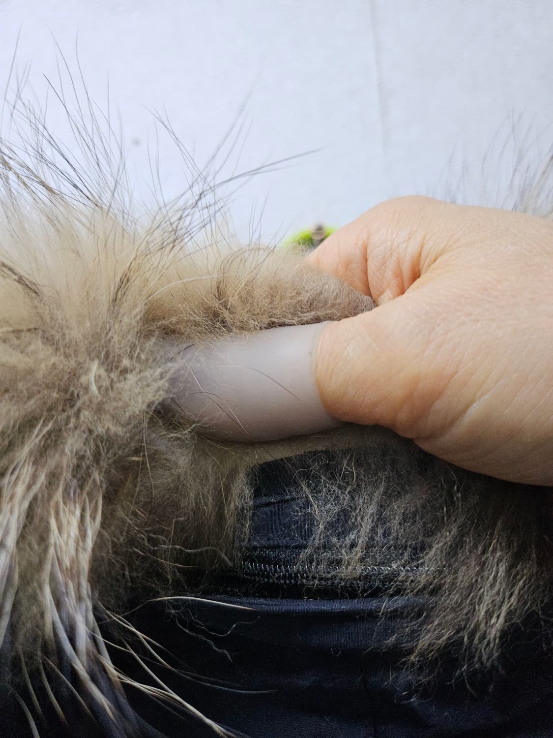 블랙야크 여성 패딩 점퍼 블랙 100 상품이미지5