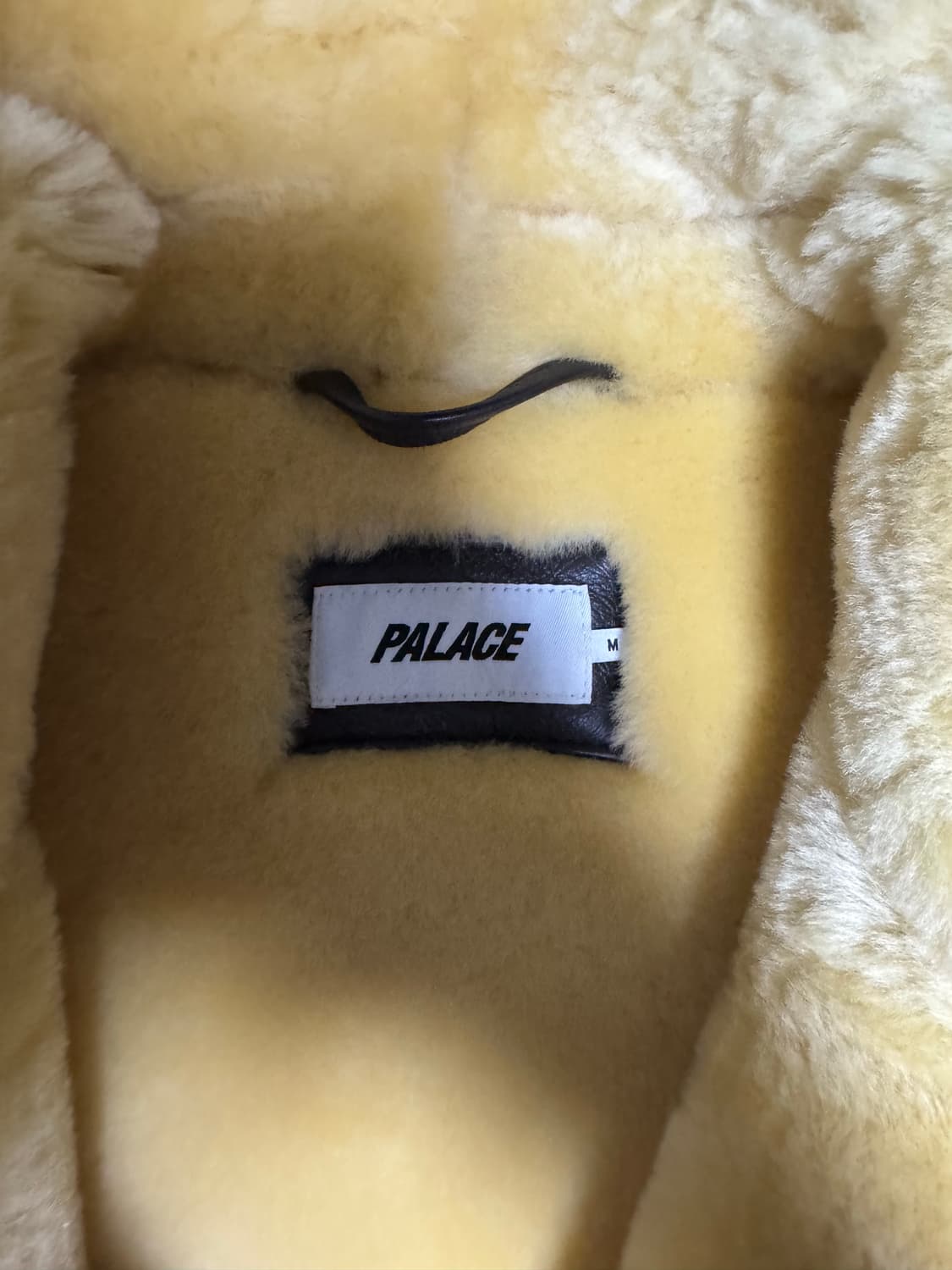 팔라스 플라잉 자켓 브라운 - 23FW 상품이미지5