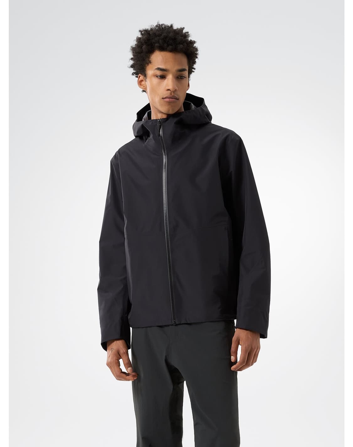 구매 L 아크테릭스 베일런스 페론 perron 상품이미지1