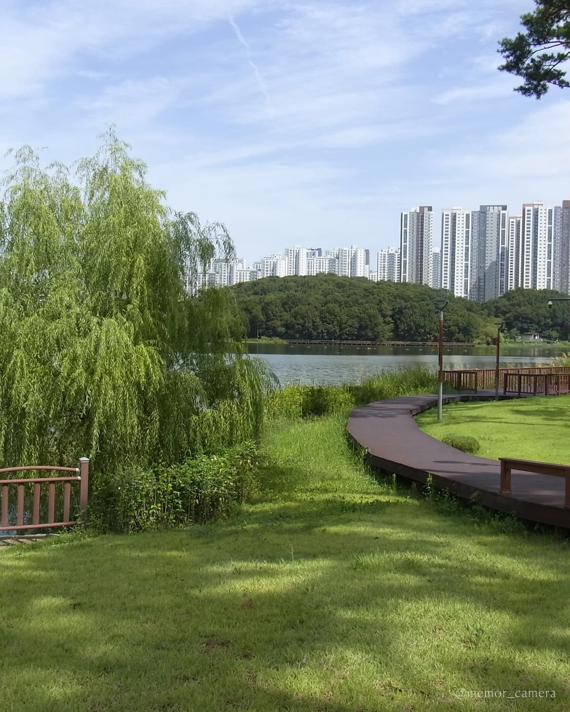 부드러운 느낌 작례☁️RICOH CX3 리코 카메라 상품이미지8