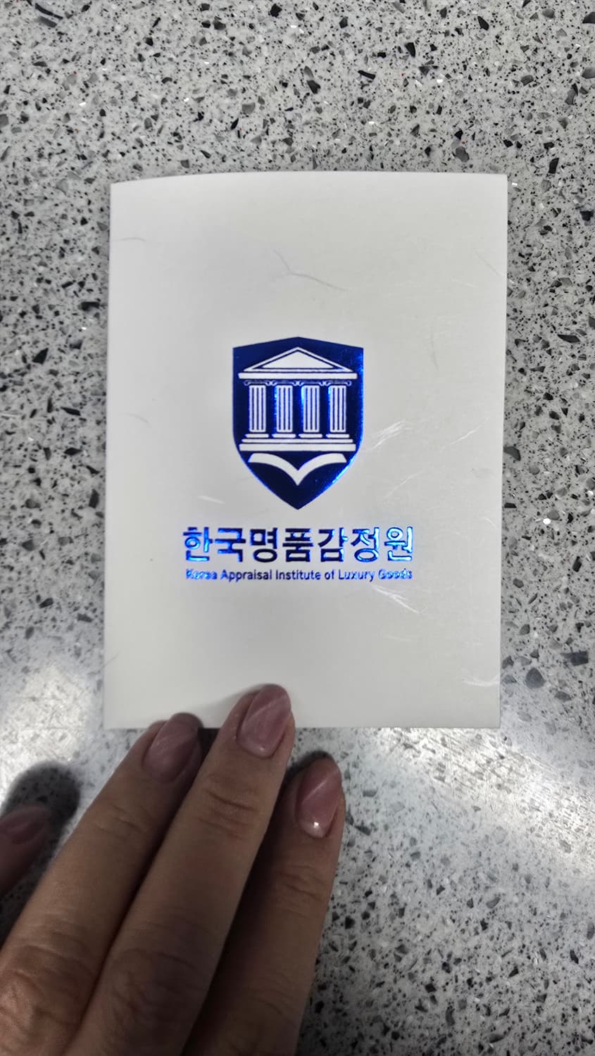 틴 트리옹프 백 - 트리옹프 캔버스 & 카프스킨 상품이미지2