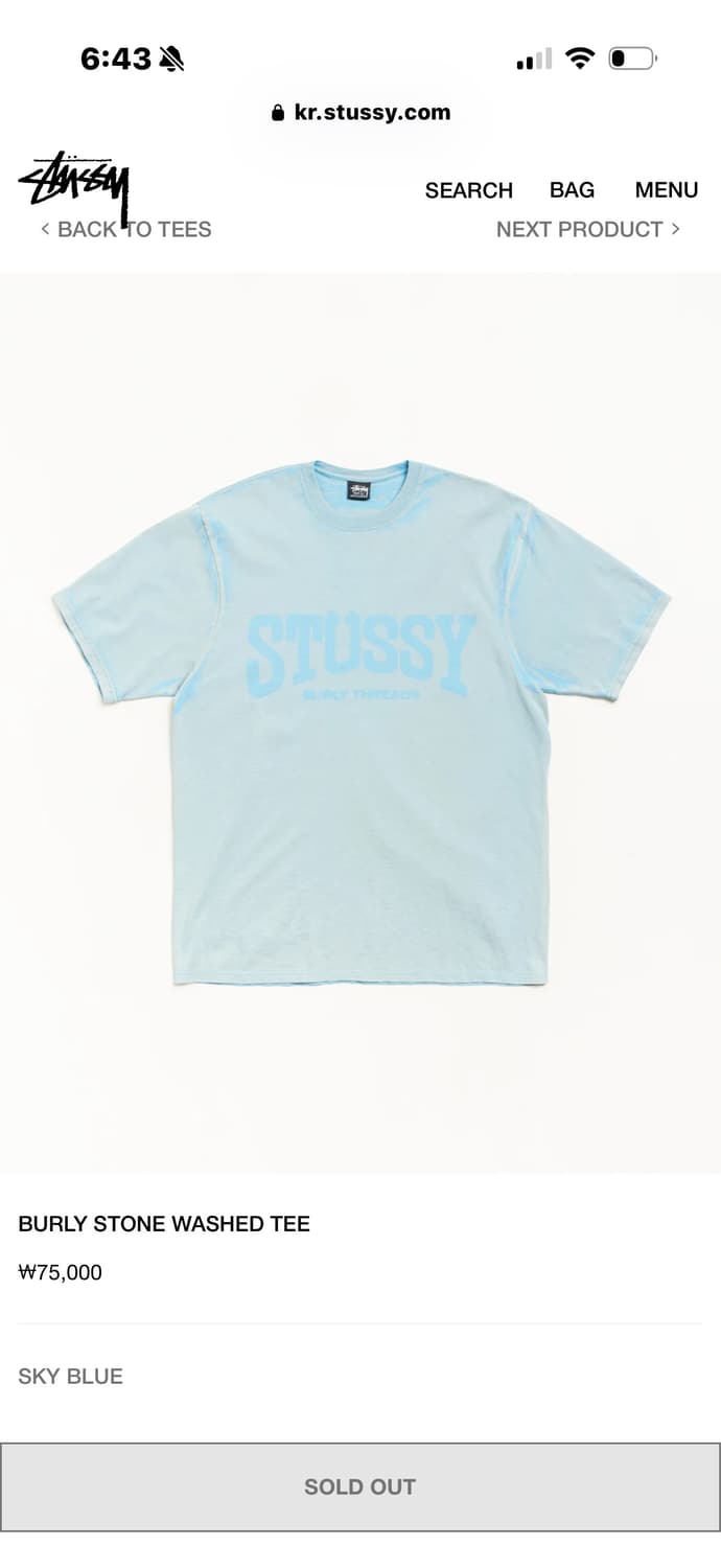 Stussy Burly Stone Washed Tee 스카이블루 상품이미지1