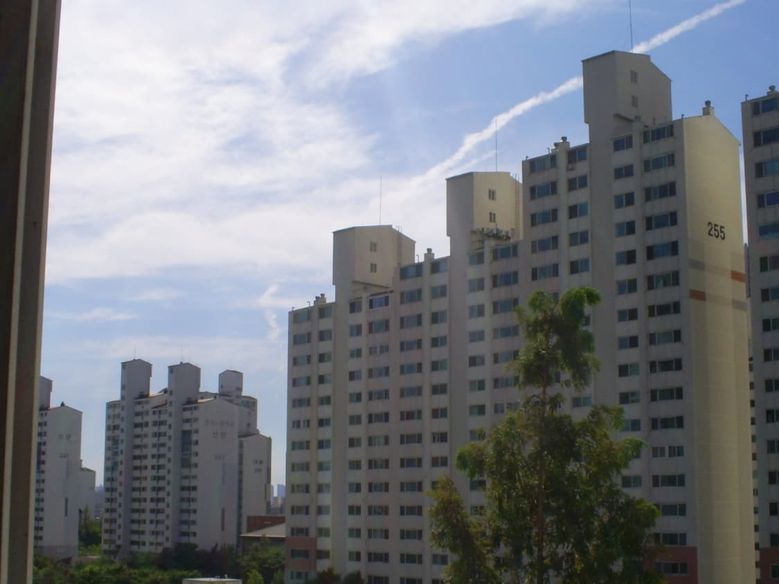 캐녹스 d503디카 상품이미지8